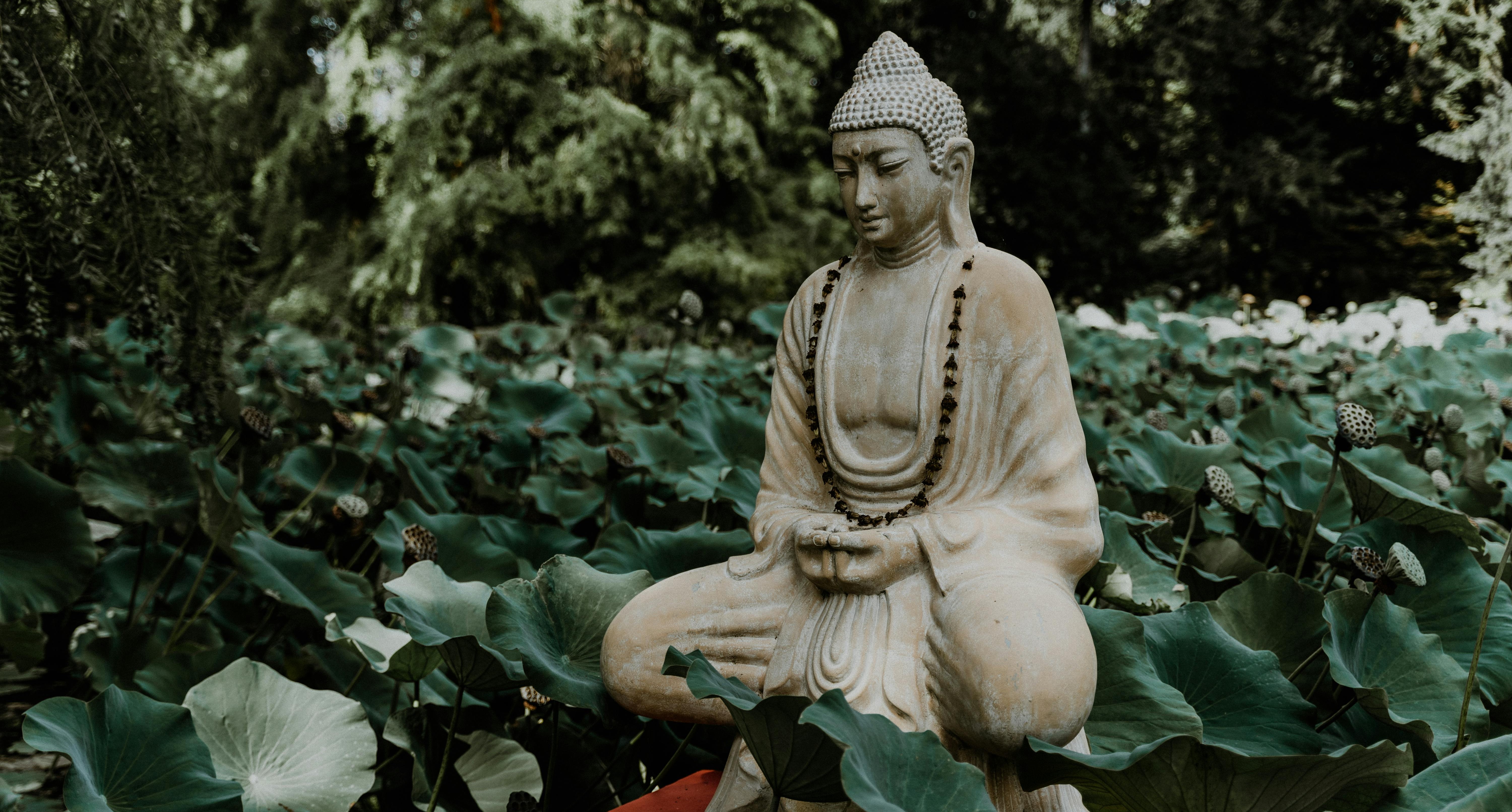 Buddha